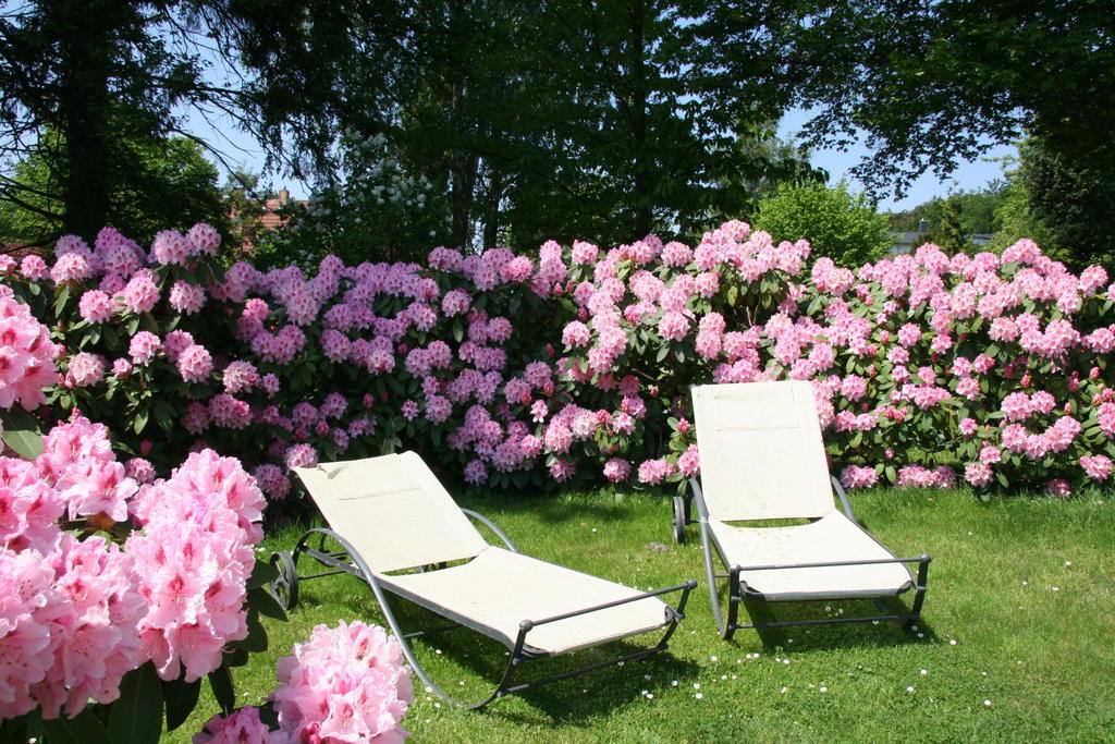 Pension Villa Edelweiß Sellin  Esterno foto