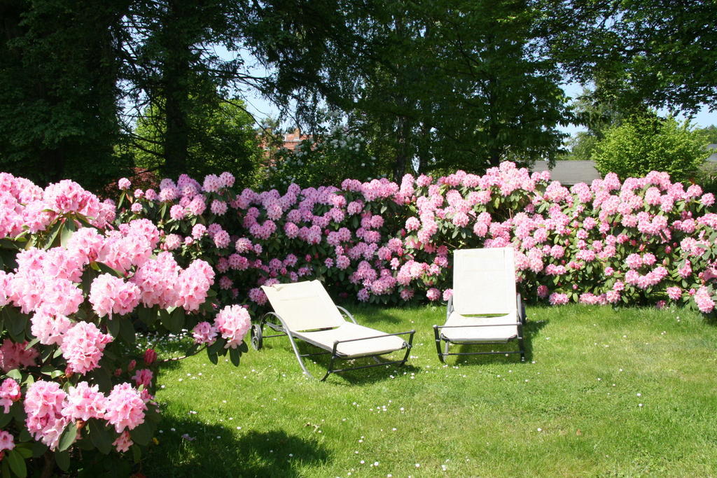 Pension Villa Edelweiß Sellin  Esterno foto
